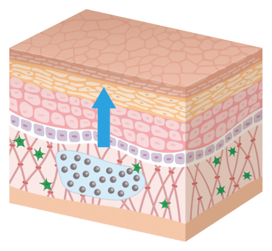 皮膚結構的3D示意圖，顯示某一層的上升過程，強調細胞再生和修復的過程，適合用於皮膚護理教育。